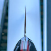 Hatsukokoro Hayabusa SG2 Gyuto 210mm - Stainless Steel