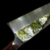 Custom Tadokoro Nakagawa Aogami B1 Damascus Gyuto 240 mm Mirror Finish - Thuya burl and marbled horn