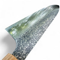 Kobayashi Damascus SG2 Gyuto 210mm - Rosewood