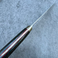 Hatsukokoro Hayabusa SG2 Gyuto 210mm - Stainless Steel