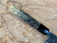 Custom Sugi Fujiwara Shirogami 1 Gyuto 210 - Buckeye Burl
