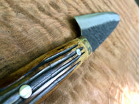 Takeshi Saji Aogami Super 210 Gyuto - Bone handle
