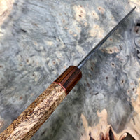 Custom Manaka Kisuke Aogami 2 Gyuto 210mm - Spalted mango burl and ironwood