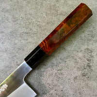 Custom Hatsukokoro Komorebi B2 Gyuto 210mm - Desert ironwood burl and horn