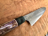 Custom Kobayashi Damascus SG2 Gyuto 210mm - Dyed Hempwood