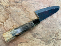 Custom Sugi Fujiwara Shirogami 1 Gyuto 210 - Buckeye Burl