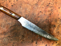 Takeshi Saji Ironwood Damascus steak knife set