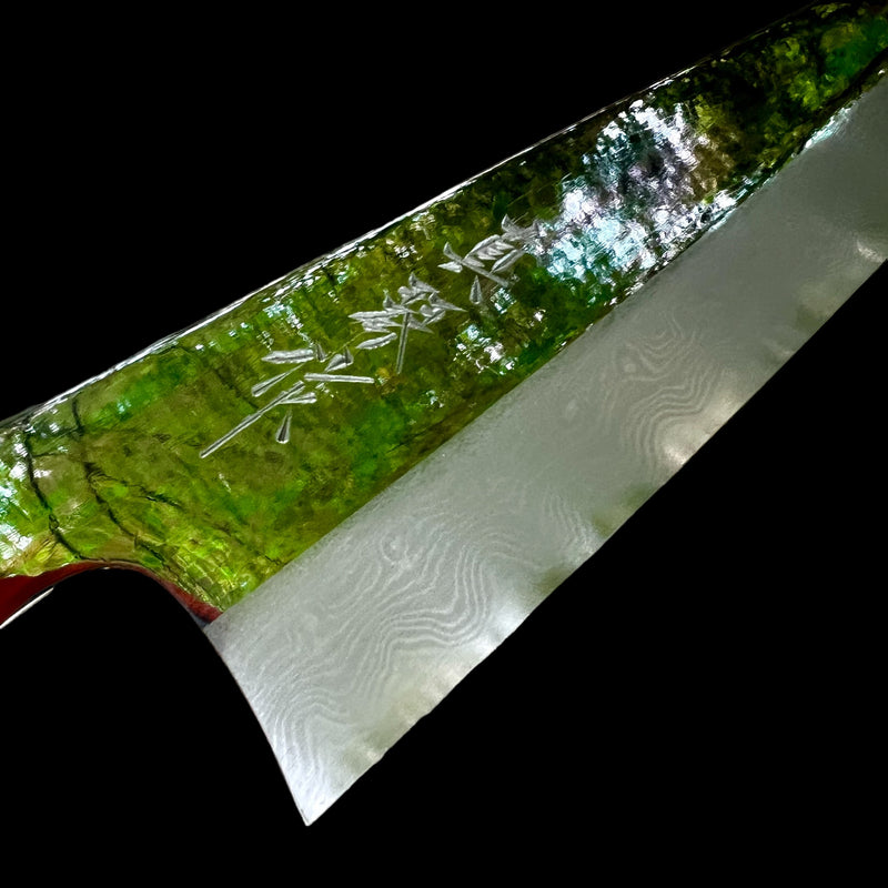 Custom Tadokoro Nakagawa Aogami B1 Damascus Gyuto 240 mm Mirror Finish - Thuya burl and marbled horn