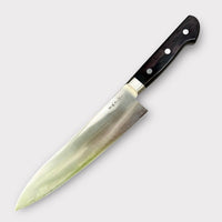 Ittetsu Stainless clad Aogami Super Gyuto 210 mm - Western handle