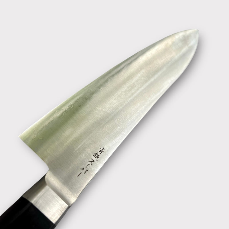 Ittetsu Stainless clad Aogami Super Gyuto 210 mm - Western handle