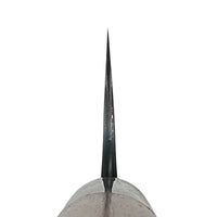 Masakage Mizu  Aogami 2 Gyuto 210