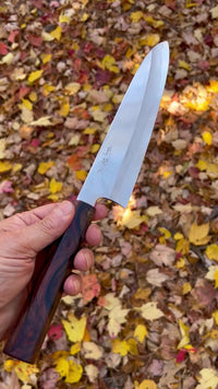 Custom Tadokoro Nakagawa  Hon-Kasumi Ginsan 3 Gyuto 260 (245 Edge) - Cocobolo