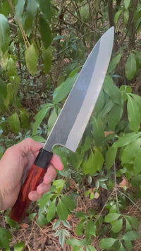 Sugi Tadokoro Tanaka Aogami Super Gyuto 240 Kurouchi Finish - Curly Siamese Rosewood and buffalo horn