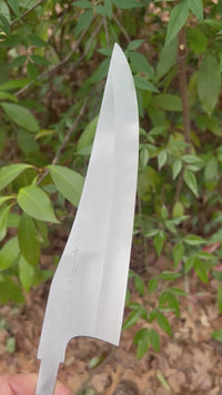 Tadokoro Nakagawa Knife Shape Hon-Kasumi Ginsan 3 Gyuto 240 - Blade Only