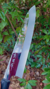 Discounted Custom Tadokoro Nakagawa SG2 Gyuto 240 mm Mirror Finish - Cocobolo
