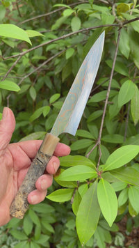CustomTakeshi Saji Rainbow Ao 2 Damascus 150mm  petty - Buckeye burl and marbled horn