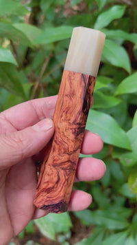 Custom Japanese Knife handle (wa handle)  for 240 mm -  CITES Cocobolo burl and Blonde horn